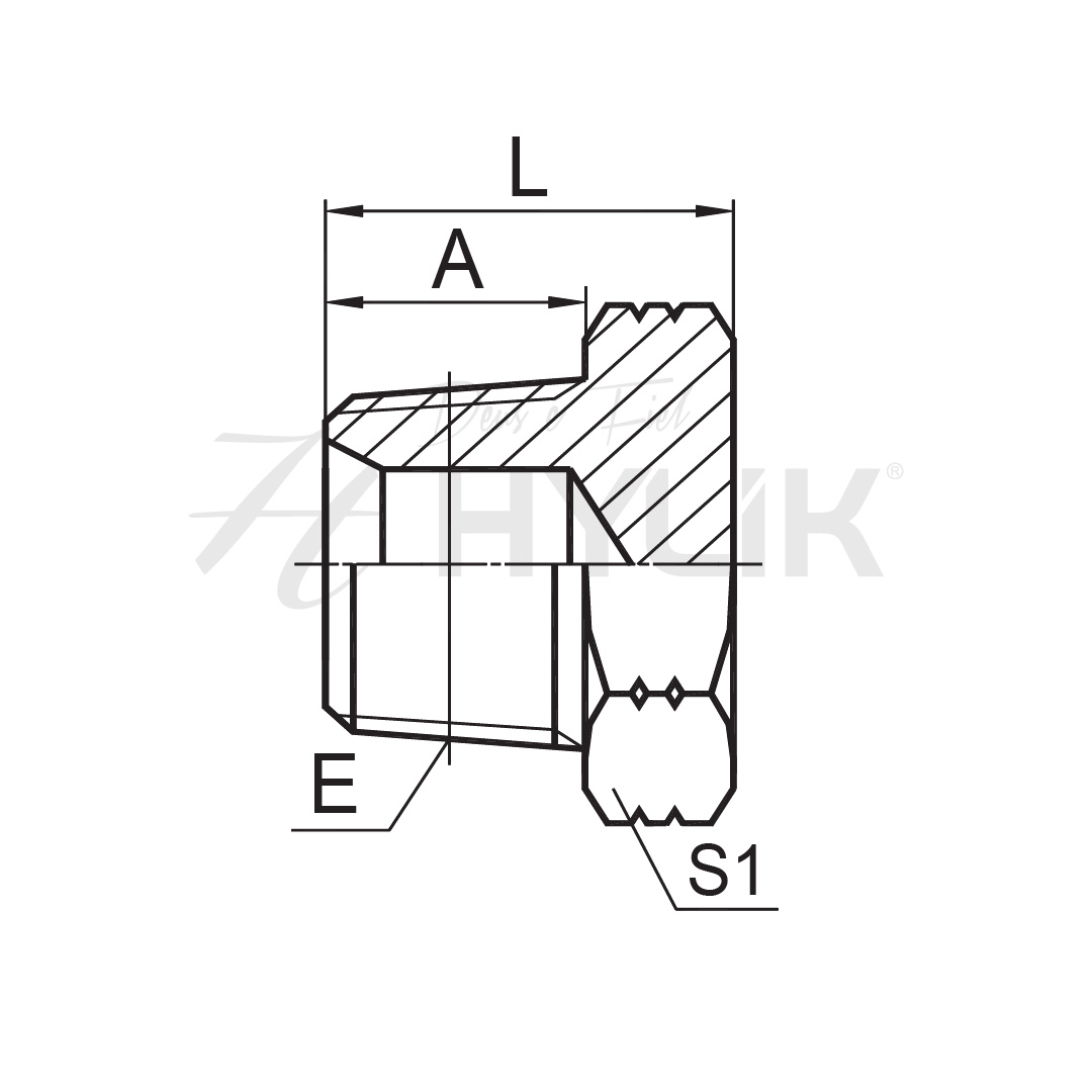 Desenho técnico do adaptador plug macho HABNSE com cotas E, A, L e S1